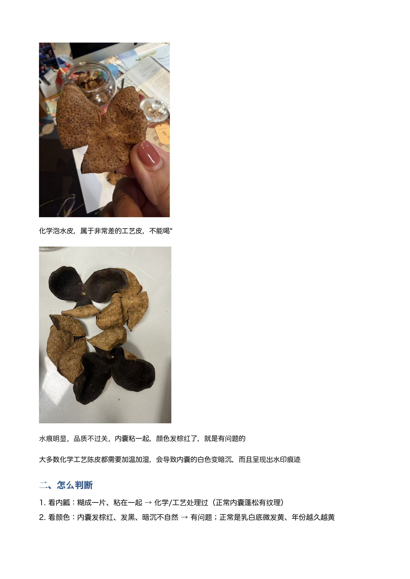陈皮辨别 第 12 页