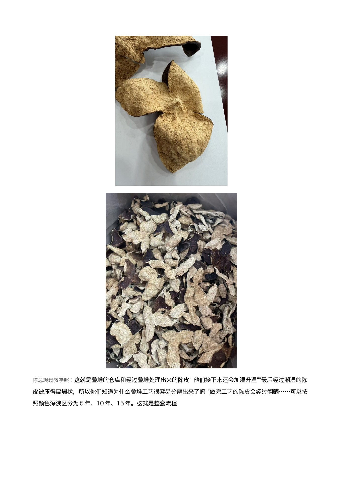 陈皮辨别 第 15 页