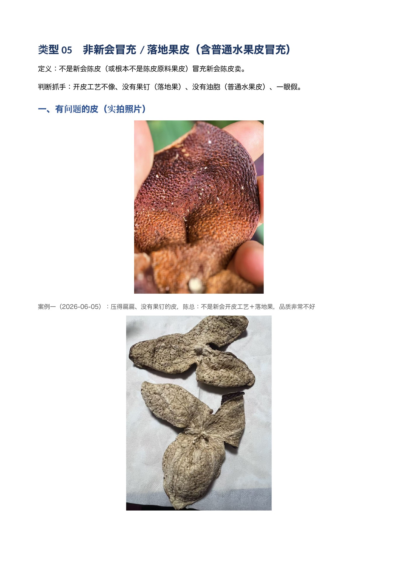 陈皮辨别 第 21 页